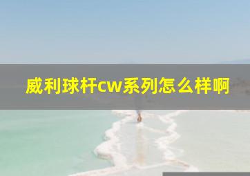 威利球杆cw系列怎么样啊