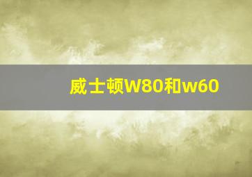 威士顿W80和w60