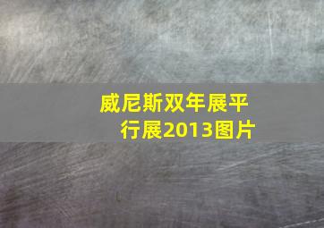 威尼斯双年展平行展2013图片