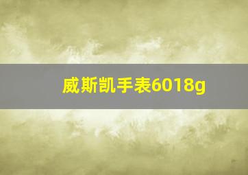 威斯凯手表6018g