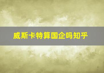 威斯卡特算国企吗知乎