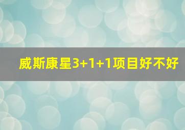 威斯康星3+1+1项目好不好