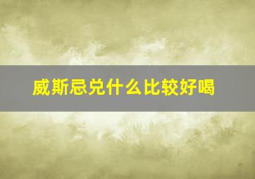 威斯忌兑什么比较好喝