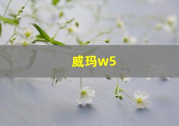 威玛w5