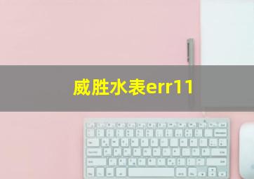 威胜水表err11