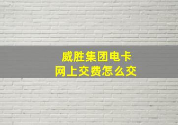 威胜集团电卡网上交费怎么交