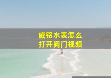 威铭水表怎么打开阀门视频