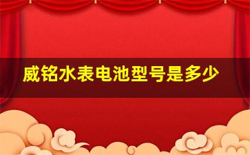 威铭水表电池型号是多少