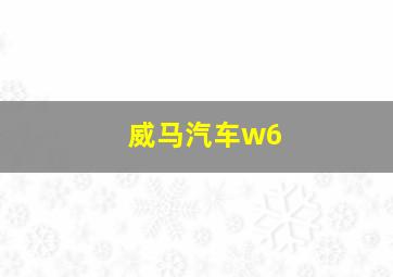 威马汽车w6