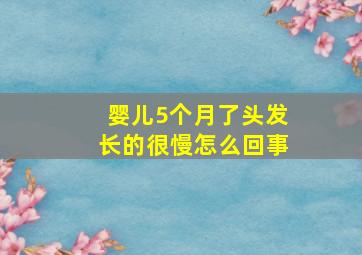 婴儿5个月了头发长的很慢怎么回事