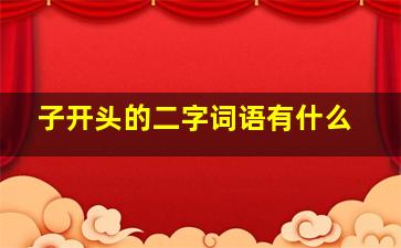 子开头的二字词语有什么