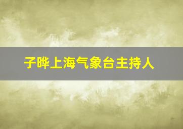 子晔上海气象台主持人