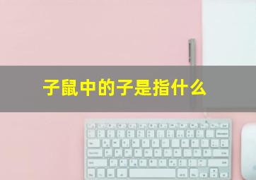 子鼠中的子是指什么