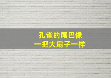 孔雀的尾巴像一把大扇子一样