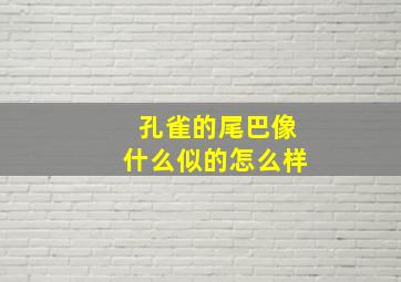 孔雀的尾巴像什么似的怎么样