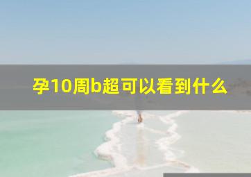 孕10周b超可以看到什么