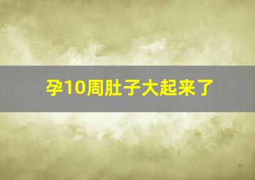 孕10周肚子大起来了