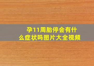 孕11周胎停会有什么症状吗图片大全视频