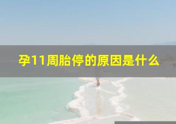 孕11周胎停的原因是什么