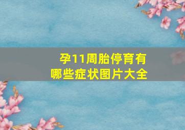 孕11周胎停育有哪些症状图片大全