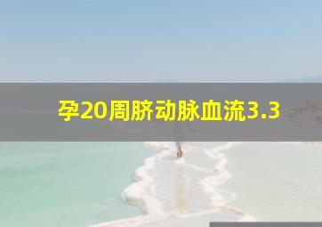 孕20周脐动脉血流3.3