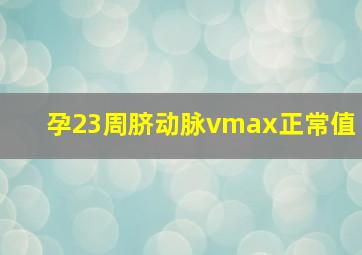 孕23周脐动脉vmax正常值