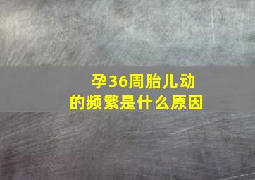 孕36周胎儿动的频繁是什么原因