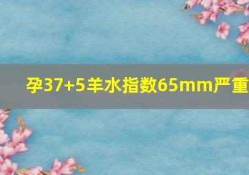 孕37+5羊水指数65mm严重吗