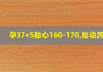 孕37+5胎心160-170,胎动厉害