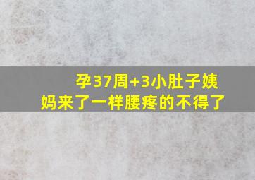 孕37周+3小肚子姨妈来了一样腰疼的不得了