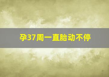 孕37周一直胎动不停