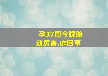 孕37周今晚胎动厉害,咋回事