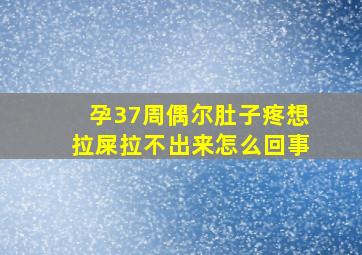 孕37周偶尔肚子疼想拉屎拉不出来怎么回事