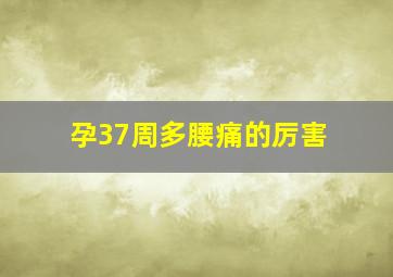 孕37周多腰痛的厉害