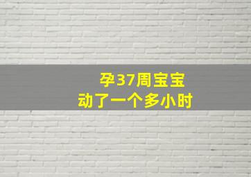 孕37周宝宝动了一个多小时