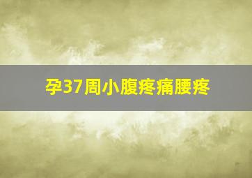 孕37周小腹疼痛腰疼