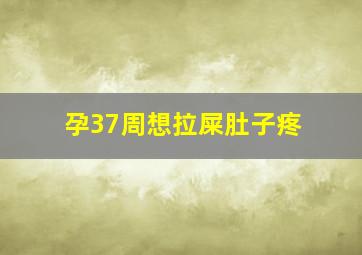 孕37周想拉屎肚子疼