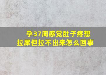 孕37周感觉肚子疼想拉屎但拉不出来怎么回事