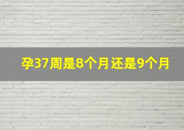 孕37周是8个月还是9个月