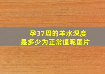 孕37周的羊水深度是多少为正常值呢图片