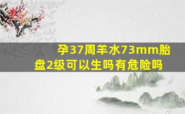 孕37周羊水73mm胎盘2级可以生吗有危险吗