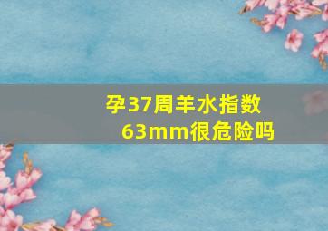 孕37周羊水指数63mm很危险吗