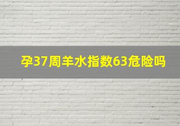 孕37周羊水指数63危险吗