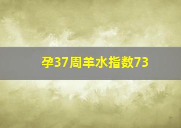 孕37周羊水指数73