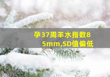 孕37周羊水指数85mm,SD值偏低