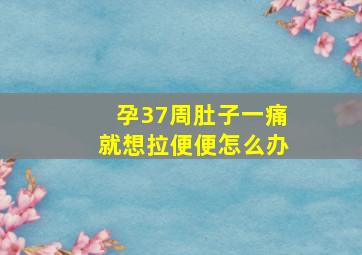 孕37周肚子一痛就想拉便便怎么办