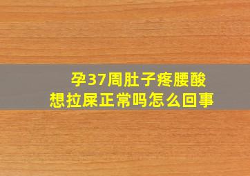 孕37周肚子疼腰酸想拉屎正常吗怎么回事