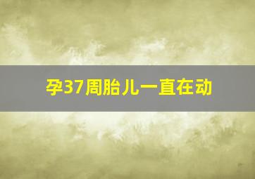 孕37周胎儿一直在动