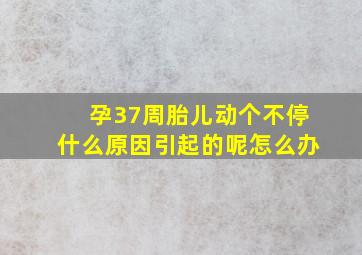 孕37周胎儿动个不停什么原因引起的呢怎么办