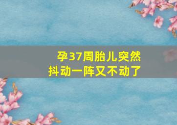 孕37周胎儿突然抖动一阵又不动了